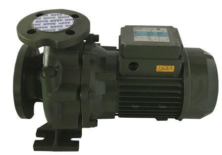 Насосный агрегат моноблочный фланцевый SAER IR 32-125A в Новосибирске 