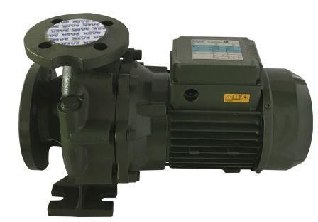 Насосный агрегат моноблочный фланцевый SAER IR 40-250NE в Новосибирске 